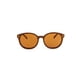 thumbnail image 1 of INVICTA Lentes de Sol I 24624-PRO-05 Color Marron Armazon en Poliamida para Unisex INVICTA EYEWEAR I 24624-PRO-05, 1 of 4