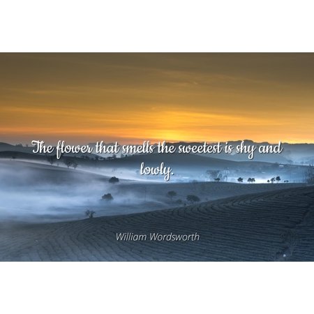 Famous Flower - William Wordsworth - Famous Quotes Laminated POSTER PRINT 24x20 - The flower that smells the sweetest is shy and lowly.