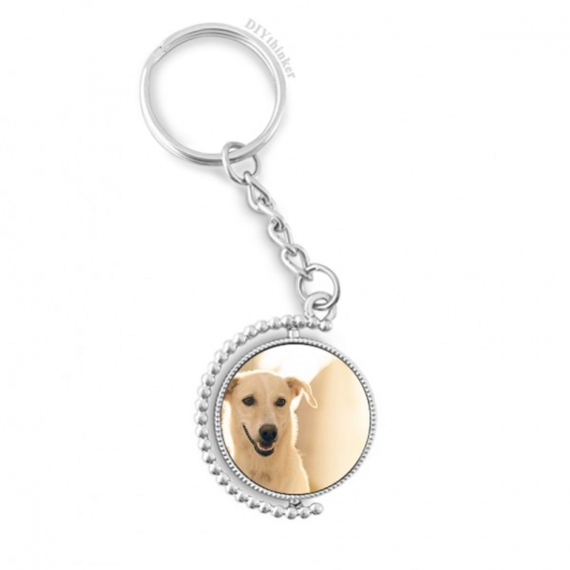 Sonrisa blanco perro mascota foto Giratorio, llavero anillo llavero