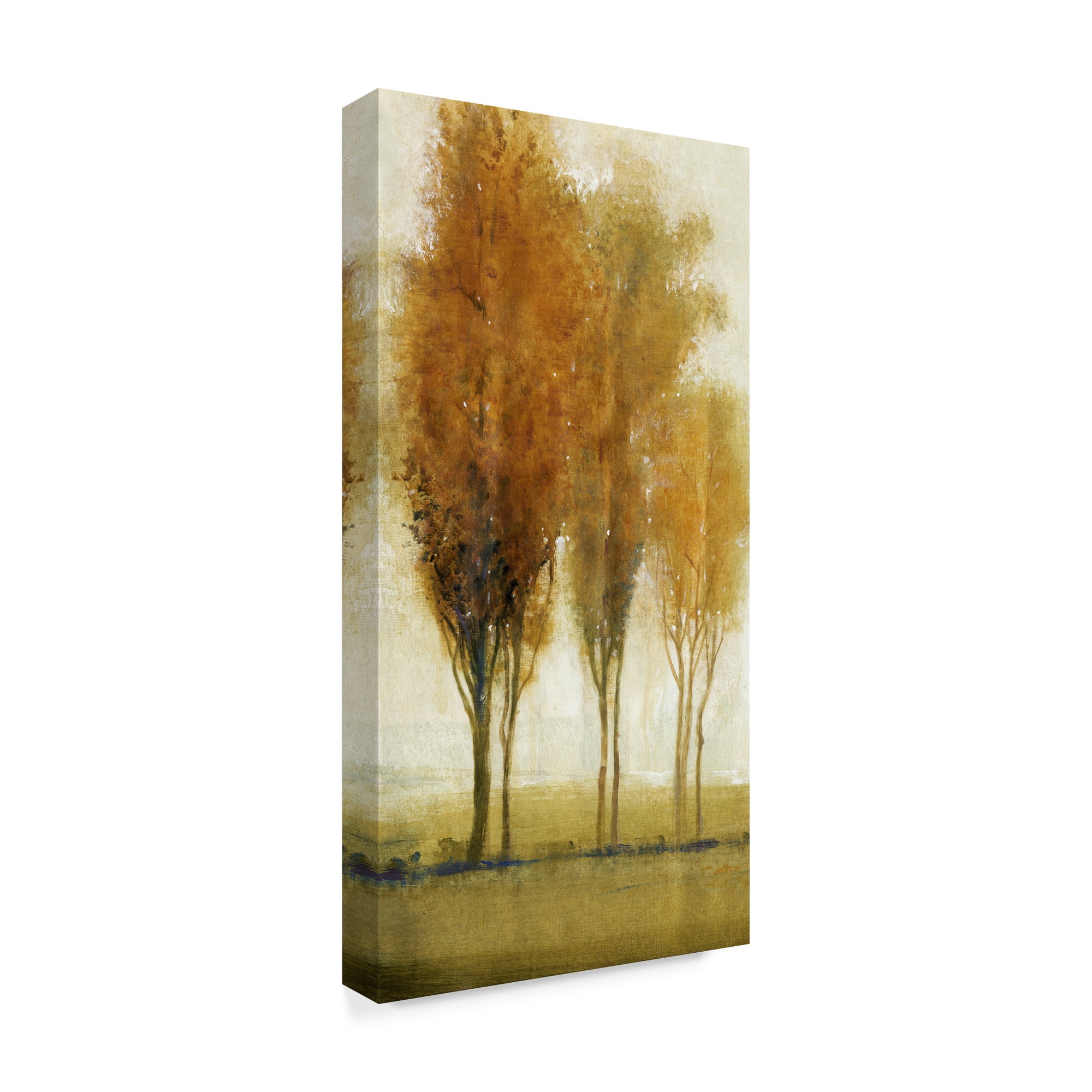 Trademark Fine Art 'Balance I' Canvas Art by Tim OToole