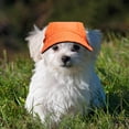 thumbnail image 4 of WRITWAA Hats for Cats Pet Baseball Hat for Summer Activities 1Pack, 4 of 6