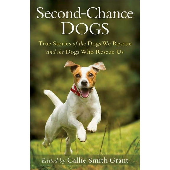 Second-Chance Dogs: True Stories of the Dogs We Rescue and the Dogs Who Rescue Us, (Paperback)
