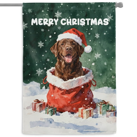 Santa Surprise Gift Chesapeake Bay Retriever Merry Cheerful Christmas House Flag 28x40in Double Sided Chessie Dog Lover Outdoor Decor - 12021