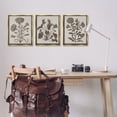 thumbnail image 3 of Stupell Industries Vintage Country Botanicals Plants & Flowers Painting Gold Floater Framed Canvas Art Print Wall Art, 17 x 21, Set of 3, 3 of 10