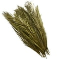 thumbnail image 5 of 43" Tall Dried Plant Natural Foliage Palm Leaf Bouquet with Grass and Feather Inspired Stems, by DecMode, 5 of 7