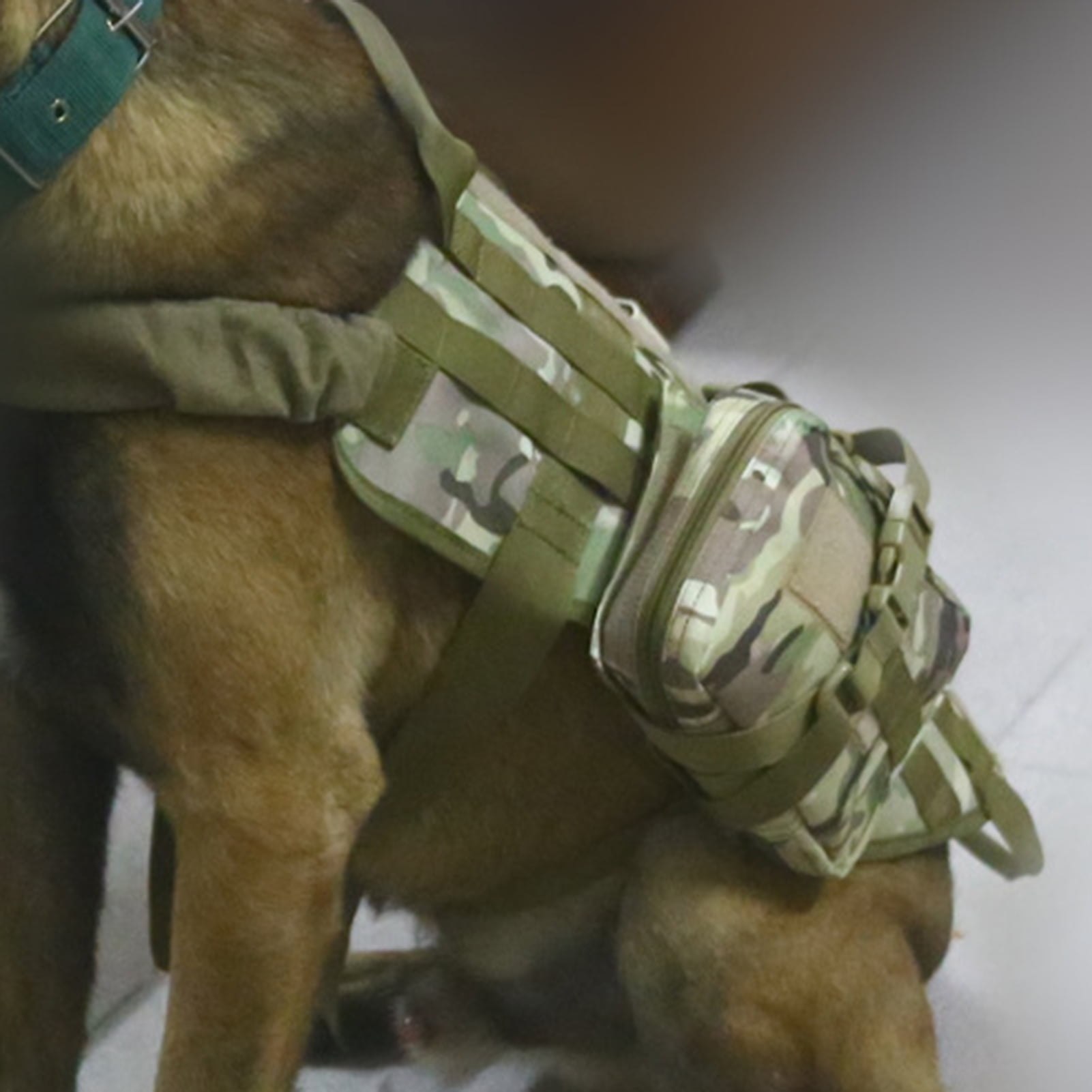 Military service dog harness hotsell