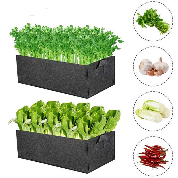 Bolsa de Cultivo de Plantas, Bolsas de Plantación de Tela No Tejida con Asas, Macetas Transpirables y Duraderas para Patatas, Fresas, Flores y Verduras de jardín, Paquete de 2 Sailing Electrónica