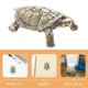 thumbnail image 3 of 2pcs Gold Turtle Figurines Vintage Brass Turtle Statues Decorative Animal Ornament DIY Craft Small Brass Metal Turtle Desktop Ornament for Rustic Offi, 3 of 3
