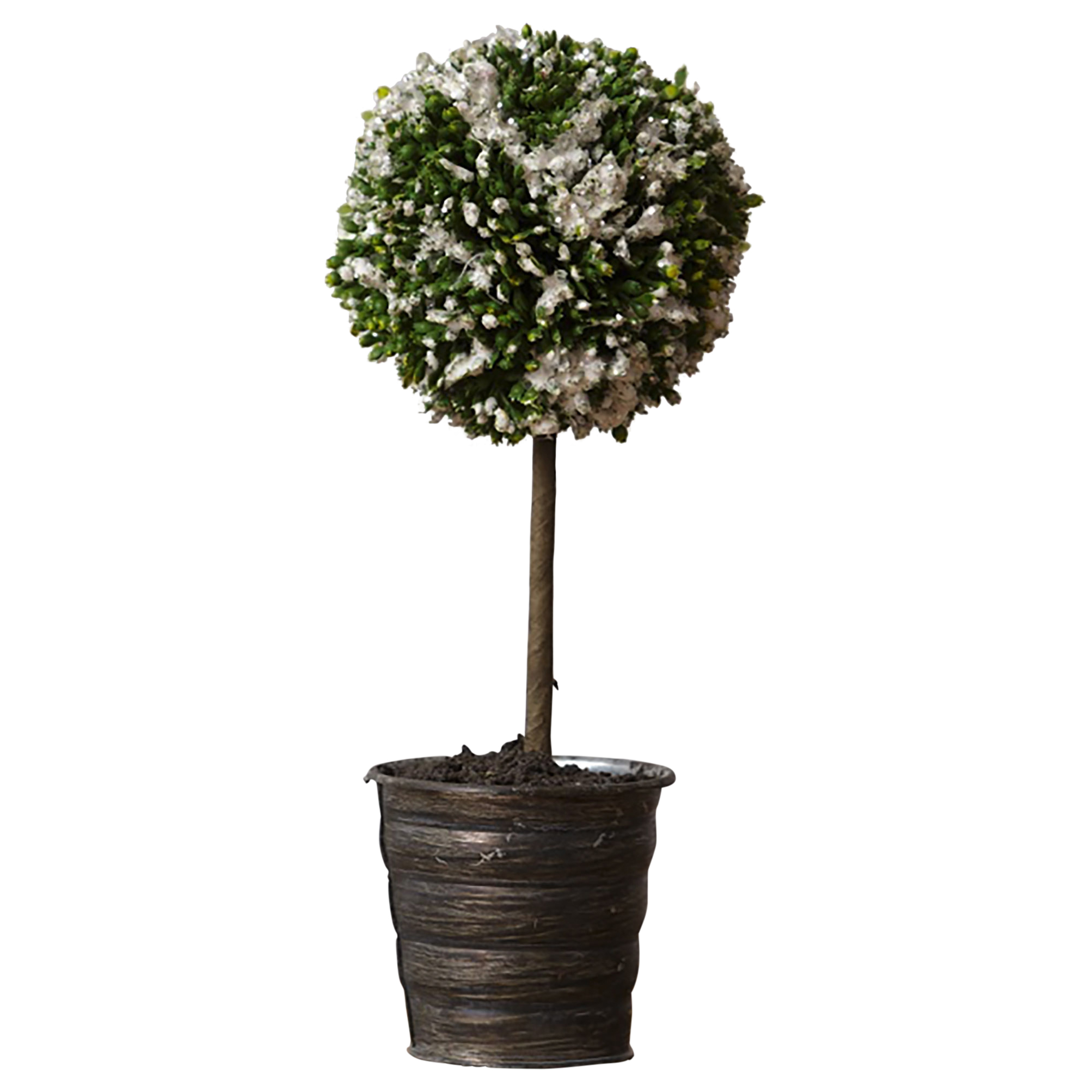 Glittery Green Evergreen Ball 9 x 3 Acrylic Decorative Tabletop