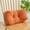 Orange, variant on Danhjin Lumbar Support Pillow for Office Chair & Bed, Ergonomic Travel Lumbar Pillow, Breathable Mesh Washable Cover for Lower Back, Fits Car Seat Home Office Use, 13.78x7.87x6.3in