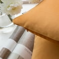 thumbnail image 2 of Soft Silky Velvet Series Square Decorative Throw Pillow Covers for Couch, 20" x 20", Orange, 2 Pack, 2 of 6