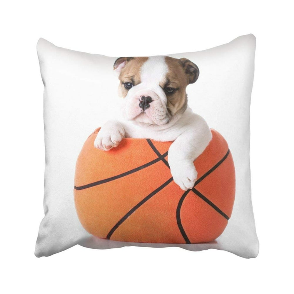 ARTJIA Orange Dog Sports Hound Bulldog Puppy Sitting Inside Plush 