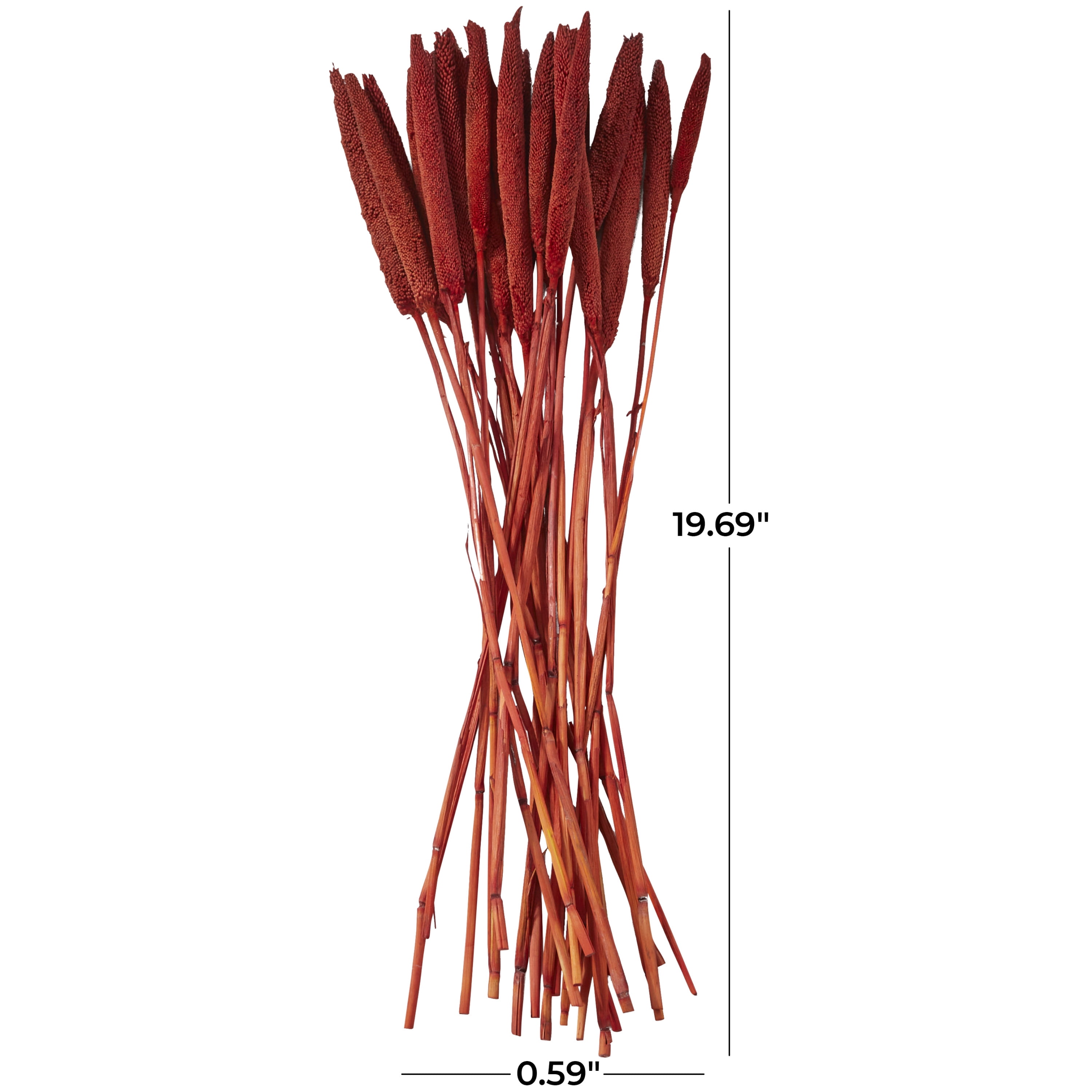 20" Dried Plant Natural Foliage Bunny Tail Bouquet with Long Stems, by DecMode