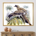 thumbnail image 2 of Designart 'Ancient Australian Birds XIV' Traditional Framed Canvas Wall Art Print, 2 of 5