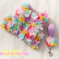 thumbnail image 2 of Tirantes para cachorros y trajes de piel Chaleco con tirantes de encaje con flores para cachorros Lindo chaleco de malla suave a prueba de fugas para gatos y mascotas con tirantes morados, 2 of 5
