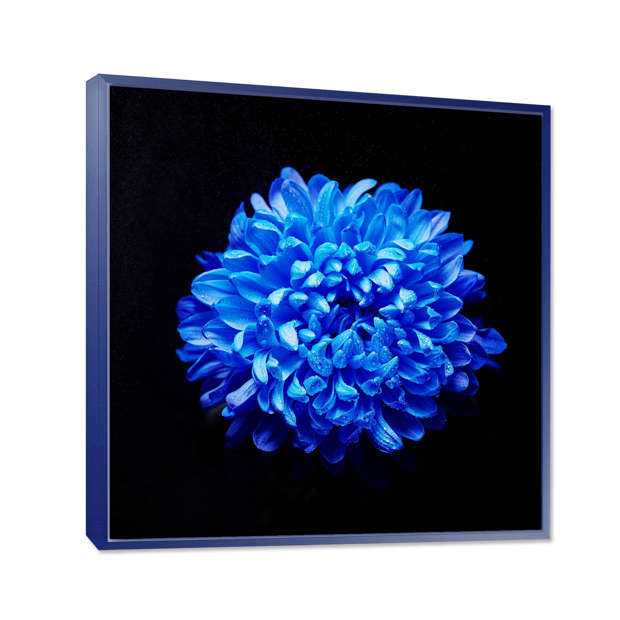 Designart 'Dew Drops on Blue Aster ' Traditional Framed Canvas Wall Art Print