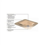 Molnlycke 295600 Mepilex Border Foam Dressing 6 x 8 - صندوق 5