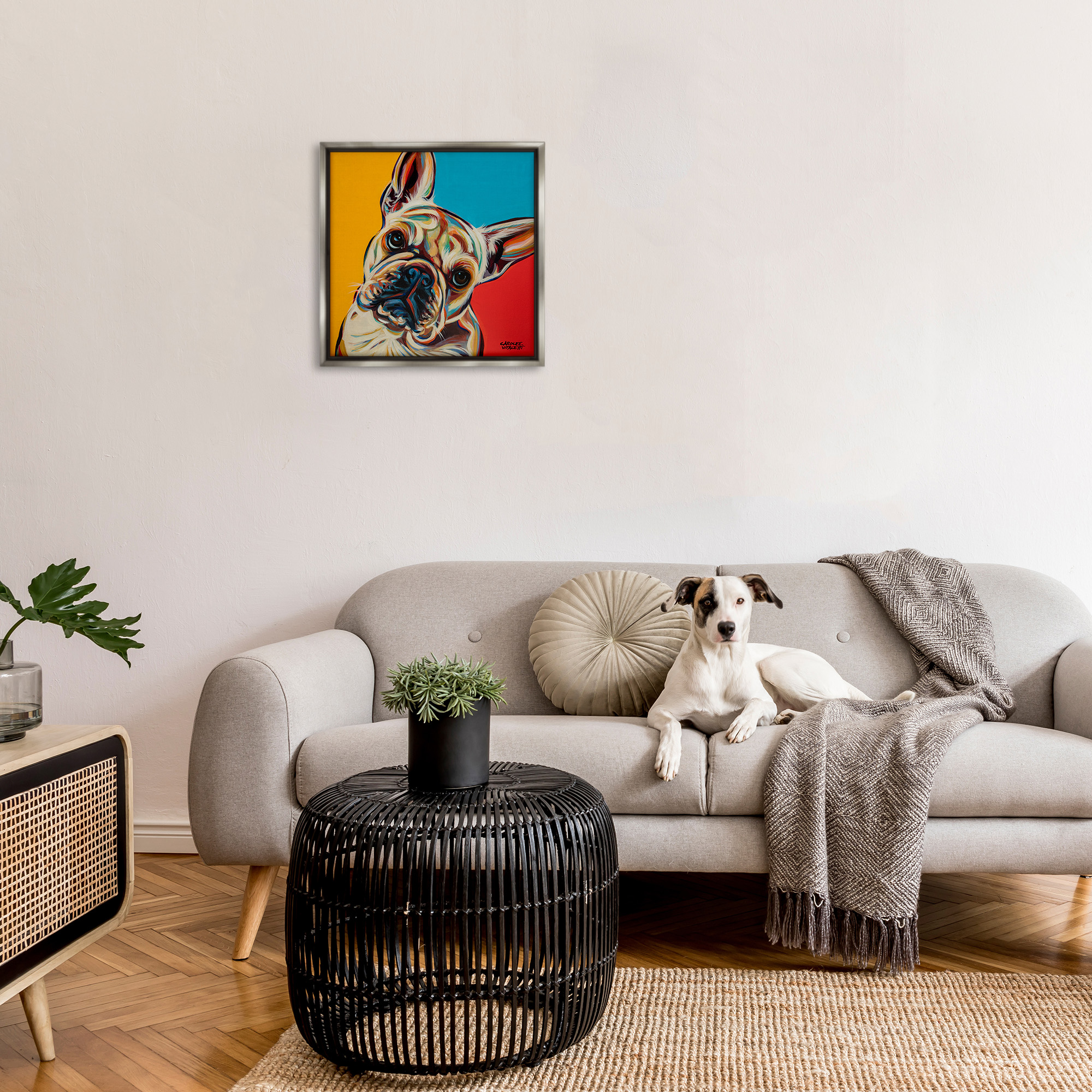 Stupell Industries French Bulldog Pop Portrait Animals & Insects Painting Gray Floater Framed Canvas Art Print Wall Art, 25 x 25
