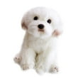 thumbnail image 5 of Animales de peluche de juguete, perro de peluche, adorable perro de peluche, encantador juguete de peluche, regalo de cumpleaños para niños, 5 of 5