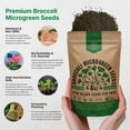 thumbnail image 4 of Organo Republic Broccoli Sprouting & Microgreens Seeds 8oz - 65,000 Non-GMO Heirloom Seeds, 4 of 6