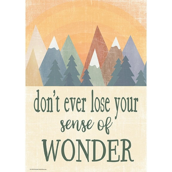 TCR7458 - Don't Ever lose Your Sense of Wonder Positive Poster by Teacher Created Resources