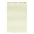 thumbnail image 7 of Mintra Office Steno Books (Pastel Colors 4pk - Green Tint Paper, Gregg Ruled), 7 of 7