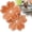 Flower, variant on 2 Pack Bird Bath Copper Disk 99.99% Pure Copper Bird Bath Cleaner 4" Triple-Point Support All-Season Water Cleaber for Outdoor Bird Baths & Bowls