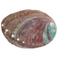 thumbnail image 1 of MOVTOTOP Abalone Shell Aromatherapy Burning Container for Home Use Multi-Color Natural Shell Craft décor 7.5, 1 of 7