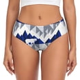 thumbnail image 1 of Fotbe Cartoon Iceberg Polar Bear Calzones Estampados para Mujer – Ropa Interior de Algodón, Cómoda, Suave y Elástica-Large, 1 of 6