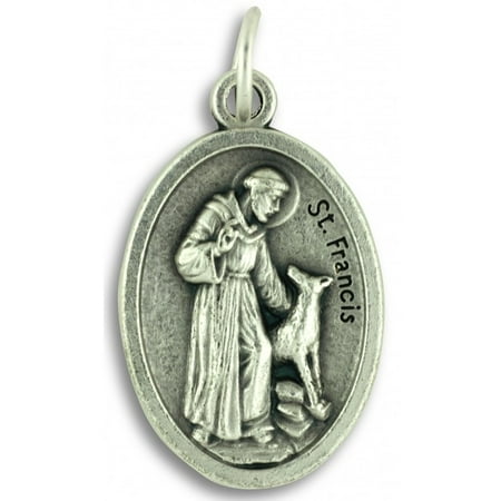 - Saint Francis Protect and Bless My Pet Dog Cat Medal 1 Inch (St. Francis)