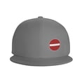 thumbnail image 3 of DouZhe Flat Brim Cap Snapback Hat, No Entry Sign Prints Adjustable Gray Adult Baseball Cap, 3 of 6