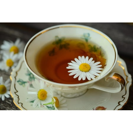 LAMINATED POSTER Drink Gold Edge Chamomile Tea Cup Chamomile Poster Print 24 x (Best Way To Drink Chamomile Tea)