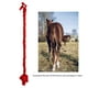 thumbnail image 3 of Envoltura De Bolsa De Cola De Caballo, Mantenga Limpia La Piel De La Cola Trenza De Caballo única En Bolsa De Cola 3 Tubos Para Granja, 3 of 7