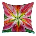 thumbnail image 2 of Betsy Drake NC701 18 x 18 in. Pink Lily No Cord Pillow, 2 of 3