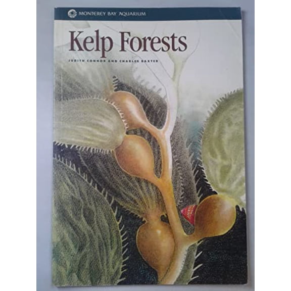 Pre-Owned Kelp Forests (Paperback) 1878244019 9781878244017
