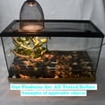 thumbnail image 4 of Lámpara de calor de cerámica con soporte, cerámica infrarroja para reptiles, anfibios, tortugas, lagartos, serpientes y ranas (sin lámpara), 4 of 5