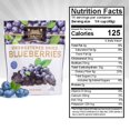 Traina Home Grown Unsweetened DHF10 Dried Blueberries Healthy & Non