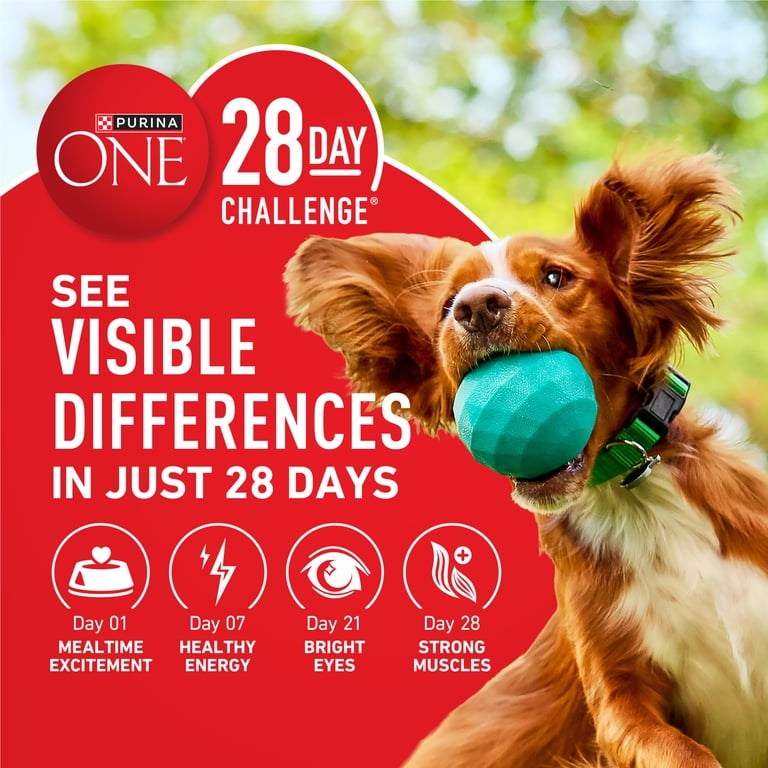 Purina ONE Plus Large Breed High-Protein Dog Food, 40 lb photo 8