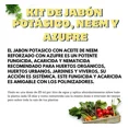 thumbnail image 4 of Jabón Potásico Neem Y Azufre Insecticida Fungicida Atomizador, 4 of 5