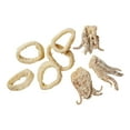 thumbnail image 2 of Pana Pesca Lightly Breaded Raw Squid/Calamari Ring and Tentacle, 4 Ounce - 40 per case., 2 of 5