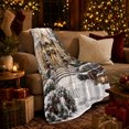 thumbnail image 3 of Victorian Greenhouse Christmas Scene Snowy Conservatory Red Bows, Festive Holiday Scene, Warm Flannel Blanket for Living Room and Family Room, Art Lovers Christmas Gift, Festive Home Decor, 3 of 9
