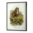 thumbnail image 3 of Designart 'Ancient Bird Life IX' Traditional Framed Canvas Wall Art Print, 3 of 5