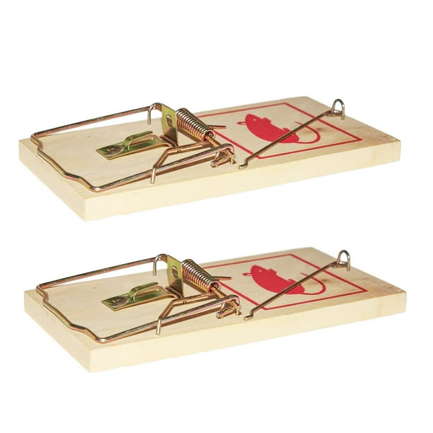 Billuyoard Matamoscas multiusos para ratones y ratas, fácil y práctico, fácil de realizar ultrasonidos, duradero, 2 piezas Jardín y Patio