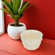 thumbnail image 4 of unbranded Para Macetas De Resistente Para Uso Interior Y Exterior En Jardinería, 4 of 8