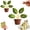 2pcs-green, variant on Magnetic Chip Clips Tree Leaf Shaped Bag Clips, Decorative Kitchen Organizer Cute Flower Petal Leaf Magnetic Chip Clips for Food Storage, Fridge, Office & Home Use