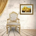 thumbnail image 3 of Bolokofsky, Ronald 24x17 Gold Ornate Wood Framed with Double Matting Museum Art Print Titled - On the Vine, 3 of 4
