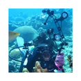 thumbnail image 4 of 1" Ball Clamp Butterfly Clip Arm Dual Holder Mount for Underwater Photography Diving Light System for GoPro Action Camera Flashlight Arms System, 4 of 5