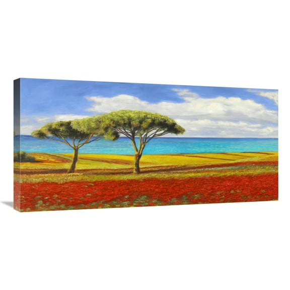 Global Gallery's 'Mediterraneo (detail)' by Angelo Masera Stretched Canvas Wall Art