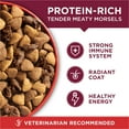 thumbnail image 3 of Purina ONE Small Bites Dry Dog Food for Adult Dogs with Added Vitamins & Minerals, High Protein Beef & Rice, 4 lb Bag, 3 of 10