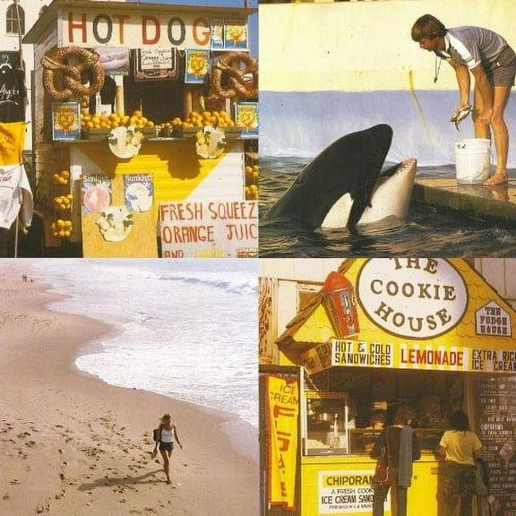 Best Coast - Something in the Way - Music & Performance - Vinyl [7-Inch]